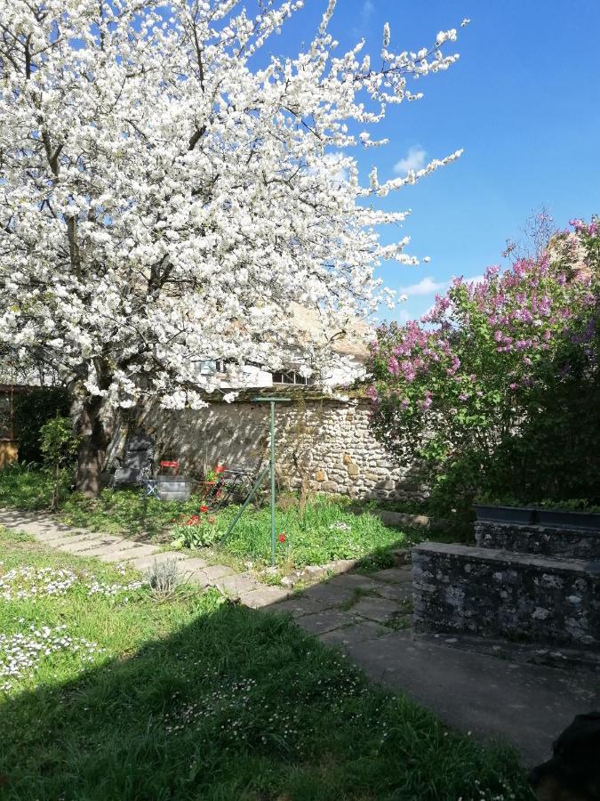 Apartmán Chez Marylene Soisy-sur-Ecole Exteriér fotografie